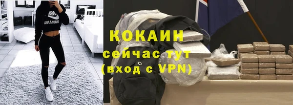 индика Балабаново