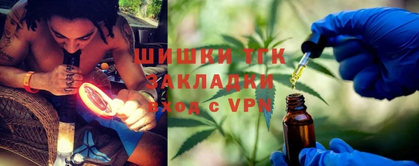 индика Балабаново