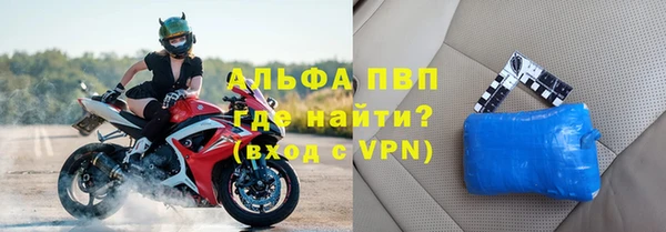 индика Балабаново